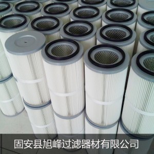 進(jìn)口濾材吸塵車集塵濾芯